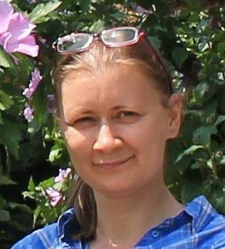 '.get_the_author_meta('display_name').'