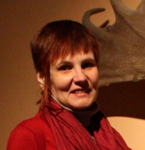 '.get_the_author_meta('display_name').'